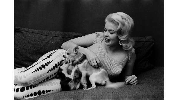 Hollywood actress jayne mansfield