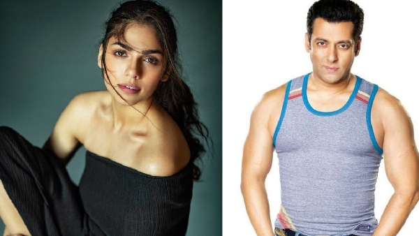 sharmin segal salman khan