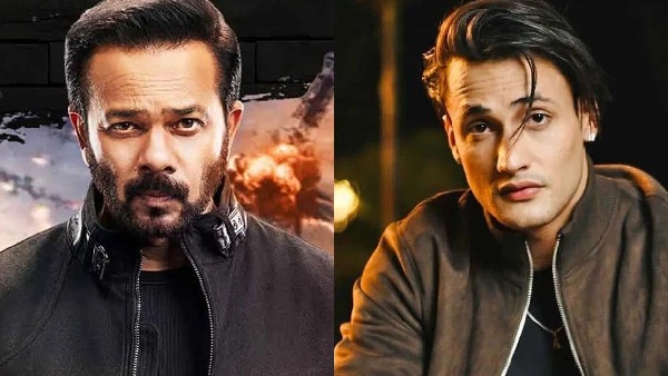 asim riaz khatron ke khiladi