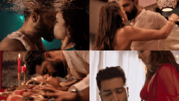 Vicky Kaushal Tripti Dimri Romance