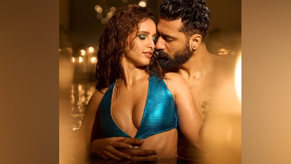 vicky kaushal tripti dimri