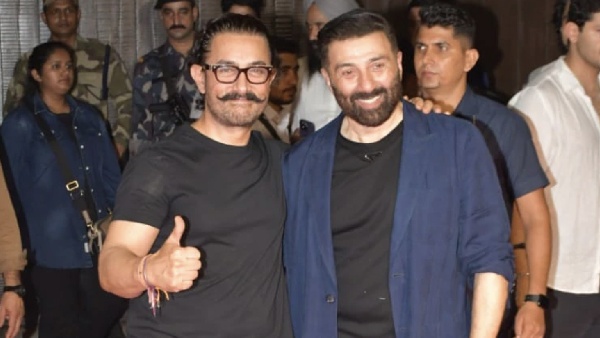 lahore 1947 aamir khan