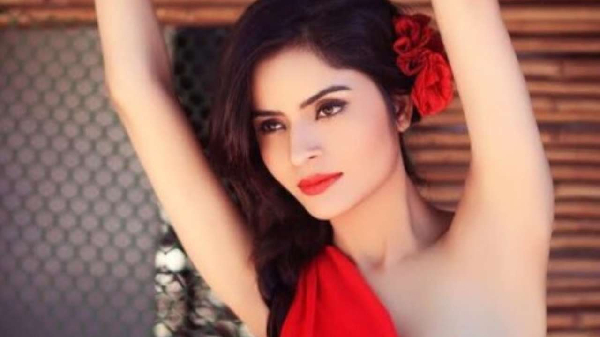 Gehana Vasisth Rape Allegations