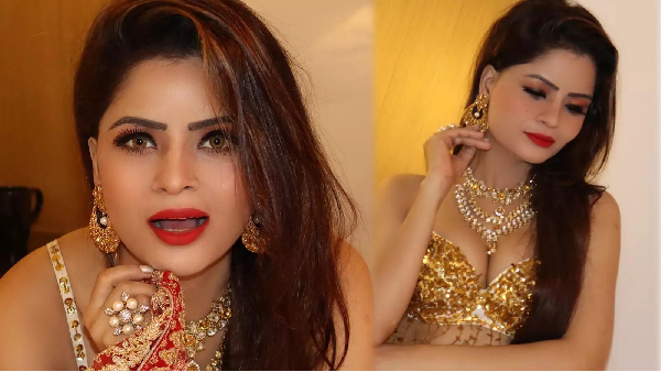 Gehana Vasisth Rape Allegations