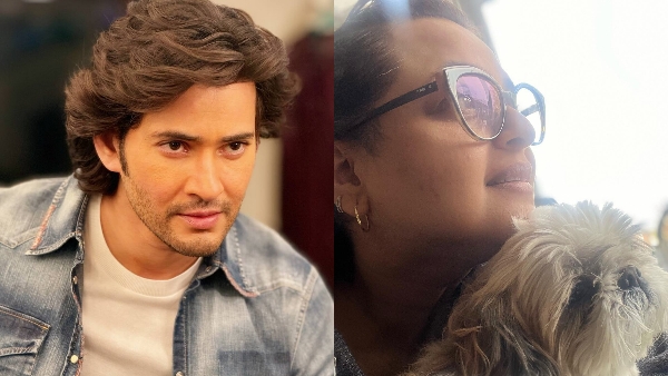 Shilpa Shirodkar In Bigg Boss 18