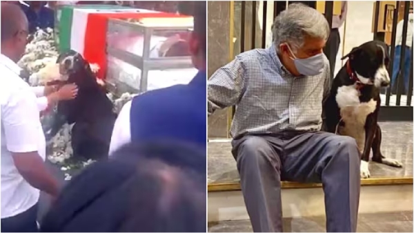 Ratan Tata Last Speech Video