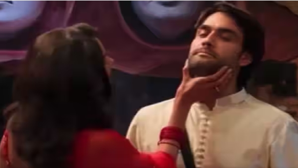 Mallika Shehrawat Vivian Dsena Bigg Boss 18