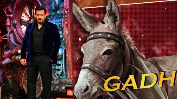 BIGG BOSS 18: गधराज को शो में रखना पड़ा मेकर्स को भारी, बिग बॉस के घर से निकालकर सौंप PETA को