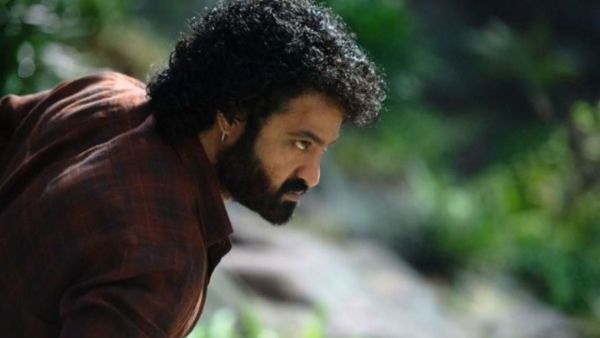 Devara BO Day 14 Devara BO Day 14