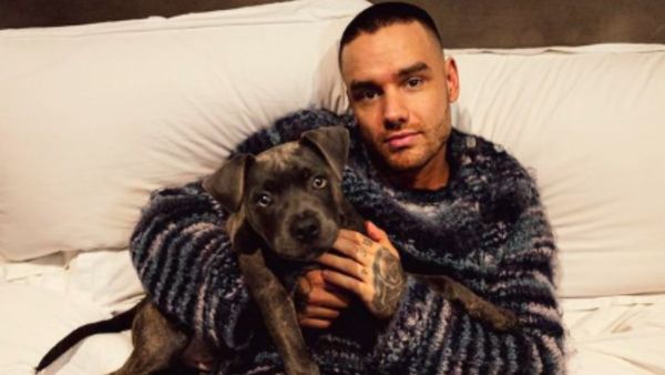 Singer liam payne Singer liam payne