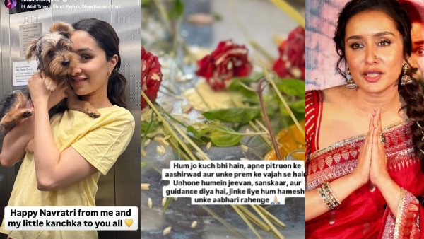 shraddha kapoor stree 2