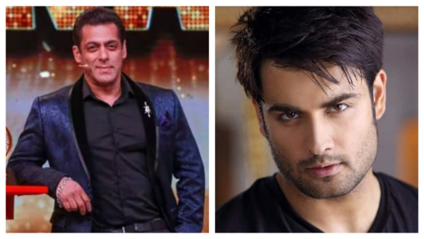 Bigg Boss 18 Confirm Contestant Vivian Dsena