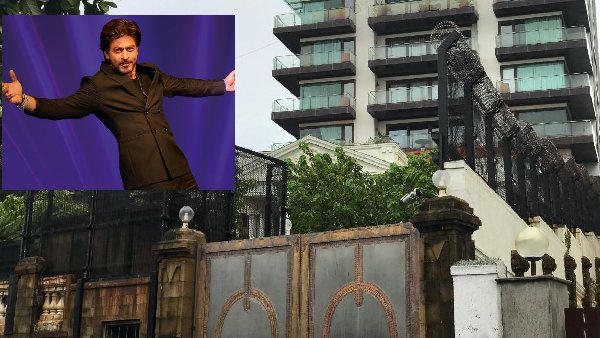 shahrukh khan birthday