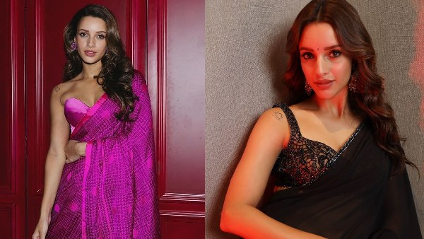 tripti dimri box office