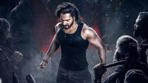 baby john varun Dhawan box office baby john varun Dhawan box office