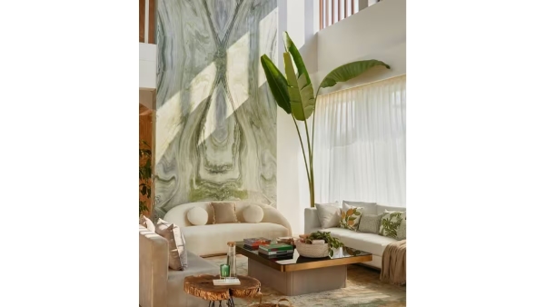 Virat Kohli Anushka Sharma Alibuag House