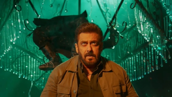 Sikandar salman khan