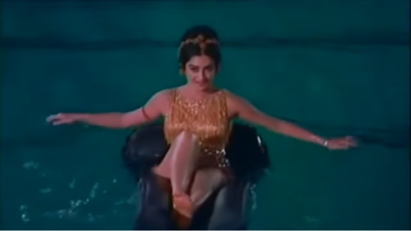 Saira Bano Dilip Kumar