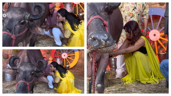 Bharti Singh Nia Sharma Bharti Singh Nia Sharma