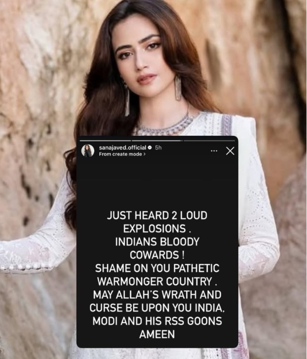 Shoaib Malik Wife Sana Javed