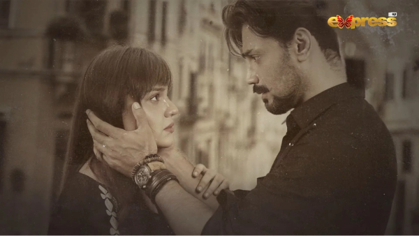 Pakistani Drama Dil Dhoondta Hai Phir Wohi Episode 1