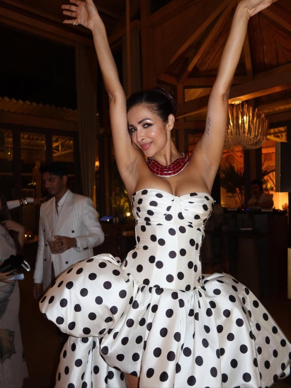 Malaika Arora Birthday Party Inside Photos