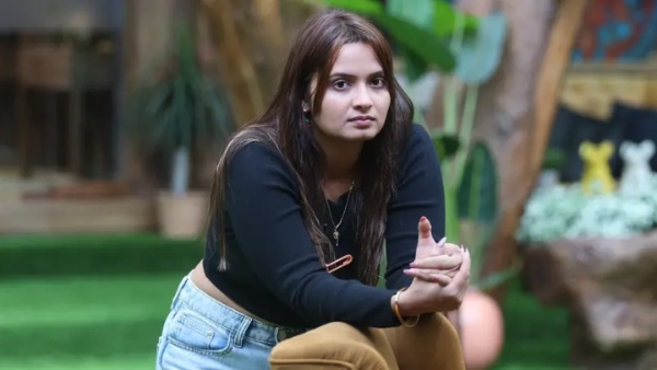 Bigg Boss 19 elimination