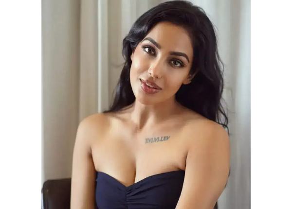 Battle Of Galwan Star Cast Fees Battle Of Galwan Star Cast Fees