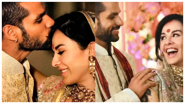 Shikhar Dhawan Alimony