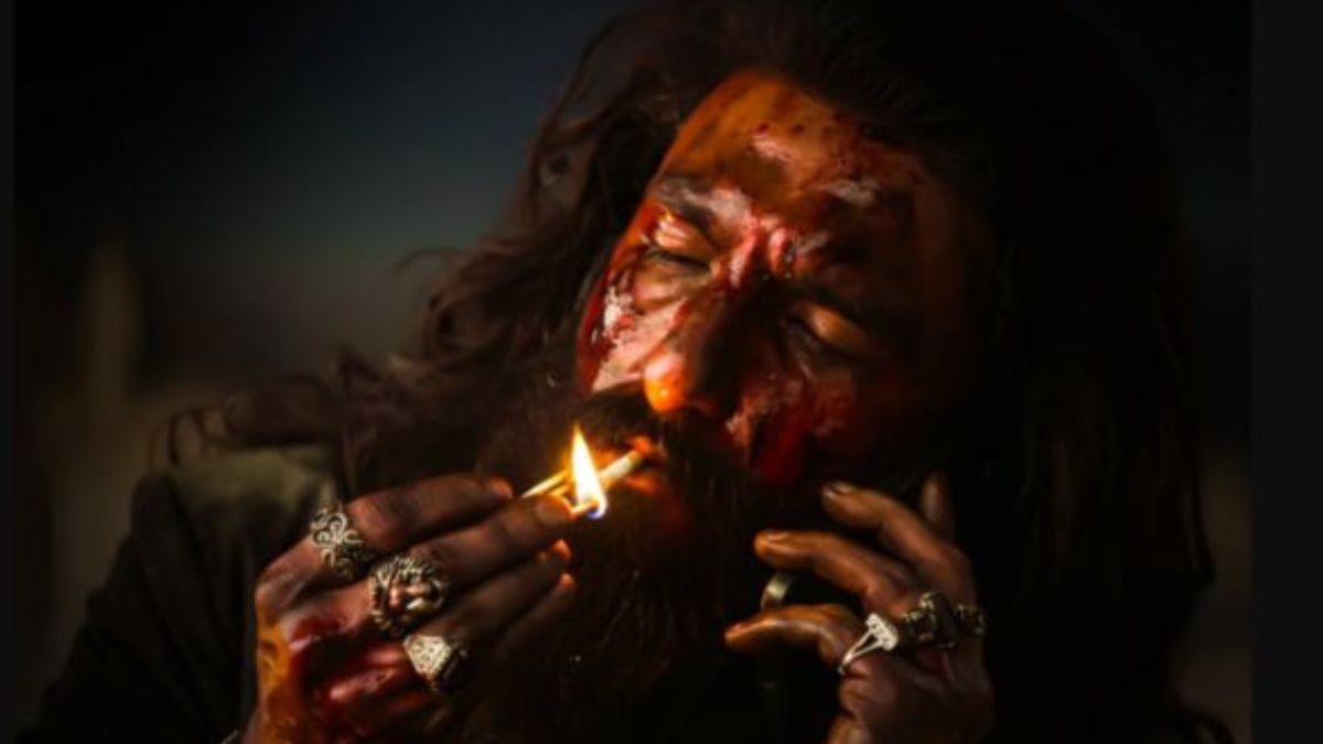 Dhurandhar 2: हिंदी में चली फिल्म तो भड़के दर्शक, हैदराबाद के थिएटर में मचा बवाल... VIDEO