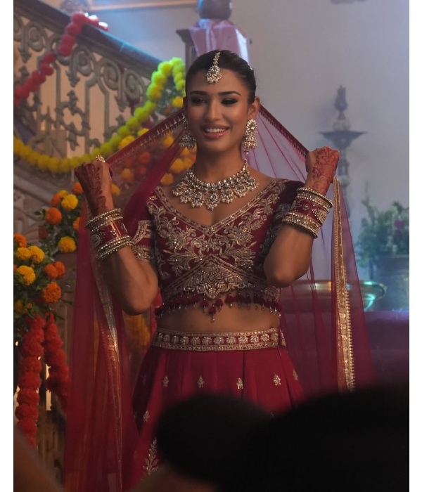 Nehal Chudasama Marriage Nehal Chudasama Marriage
