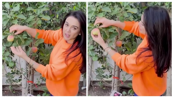 Preity Zinta