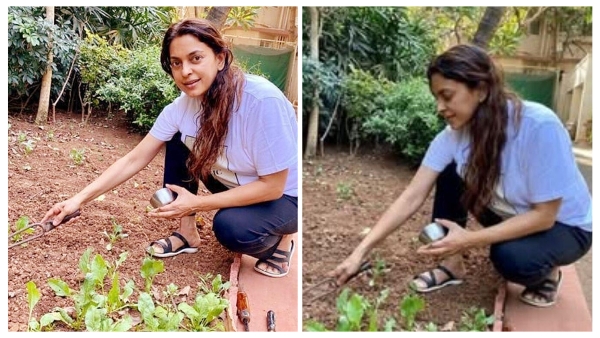 Juhi Chawla