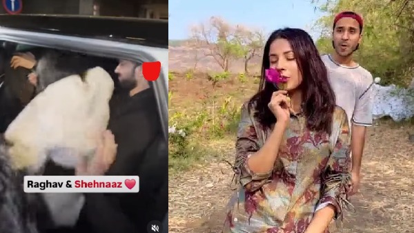 Raghav-Shehnaaz Raghav-Shehnaaz