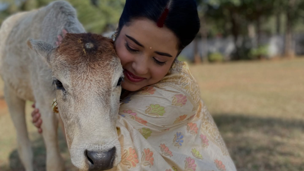 Prakirti Nautiyal Divorce