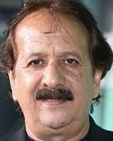 Majid Majidi