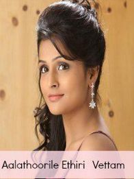 ആലത്തൂരിലെ ഇത്തിരി വെട്ടം