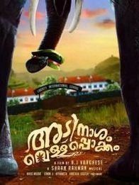 അടിനാശം വെള്ളപൊക്കം