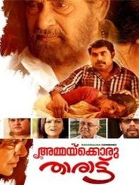 അമ്മയ്ക്കൊരു താരാട്ട്