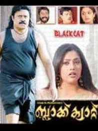 ബ്ലാക്ക് കാറ്റ്