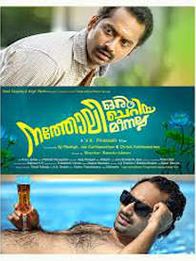 നത്തോലി ഒരു ചെറിയ മീനല്ല