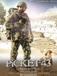 പിക്കറ്റ് 43