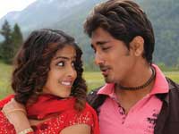 Siddarth and Genelia in Bommarillu