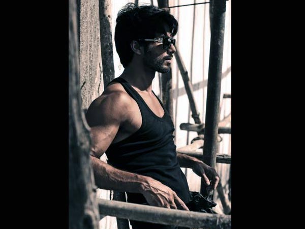 Shahid Kapoor's Twitter Picture