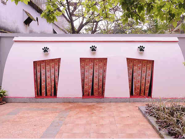 Kennels For Salman's Pet Dogs At Bigg Boss