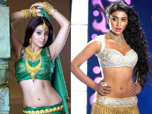 Shriya Saran's navel scene in Don Seenu