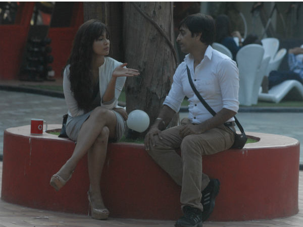 Bigg Boss 6 Synopsis