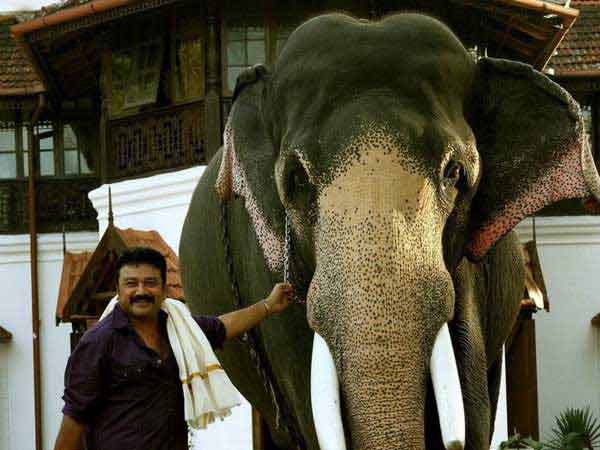 Thiruvambadi Thamban