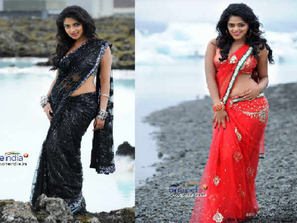 Naayak - Movie Review