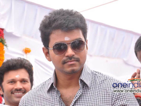 Vijay Vijay